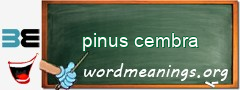 WordMeaning blackboard for pinus cembra